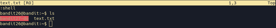Vim shell
